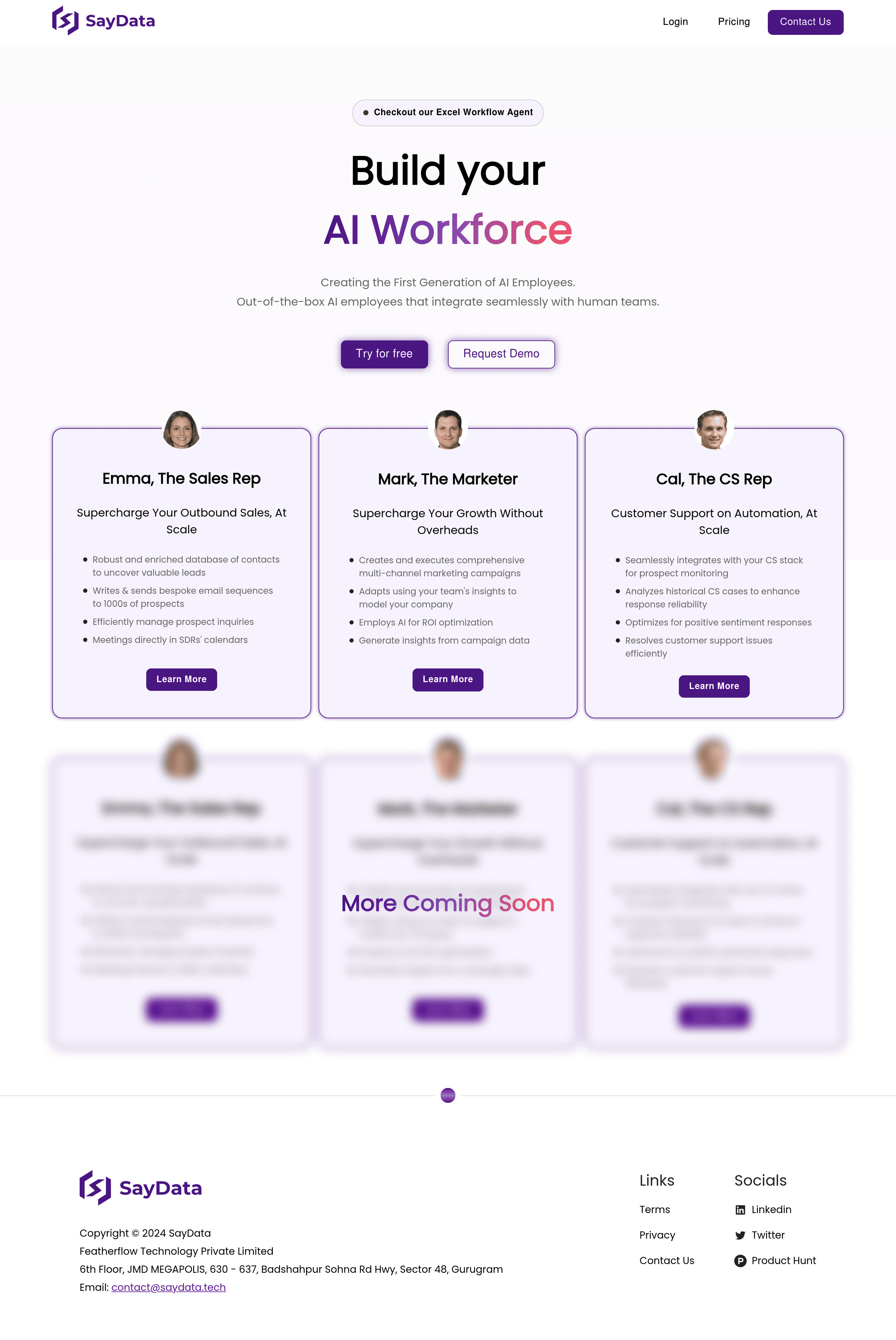 SayData landing page screenshot